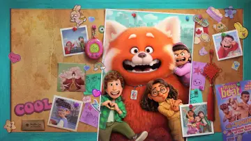 Zasłona do filmu "To nie wypanda" #166166