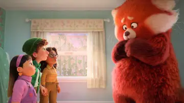 Zasłona do filmu "To nie wypanda" #166167