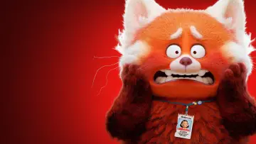 Zasłona do filmu "To nie wypanda" #166173