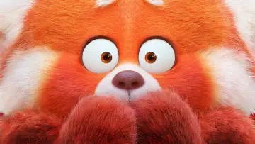 Zasłona do filmu "To nie wypanda" #166182