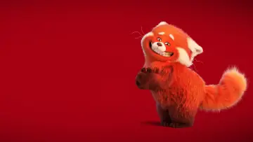 Zasłona do filmu "To nie wypanda" #166183