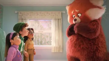 Zasłona do filmu "To nie wypanda" #166186