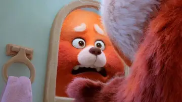 Zasłona do filmu "To nie wypanda" #166188