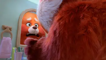 Zasłona do filmu "To nie wypanda" #166192