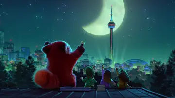 Zasłona do filmu "To nie wypanda" #581746