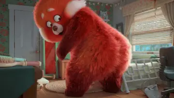 Zasłona do filmu "To nie wypanda" #581751