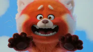 Zasłona do filmu "To nie wypanda" #581767