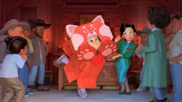 Zasłona do filmu "To nie wypanda" #581768