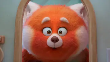 Zasłona do filmu "To nie wypanda" #581777