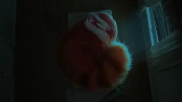 Zasłona do filmu "To nie wypanda" #581779