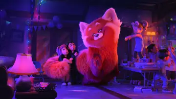 Zasłona do filmu "To nie wypanda" #581784