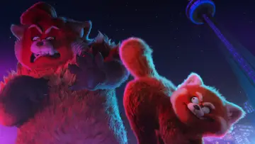 Zasłona do filmu "To nie wypanda" #581786