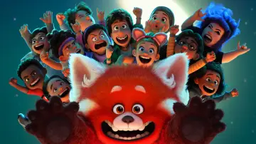 Zasłona do filmu "To nie wypanda" #581787