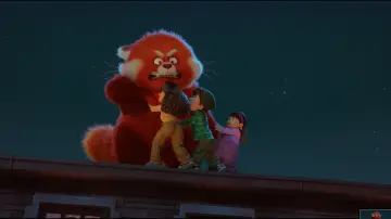 Zasłona do filmu "To nie wypanda" #747963