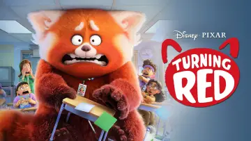 Zasłona do filmu "To nie wypanda" #747967