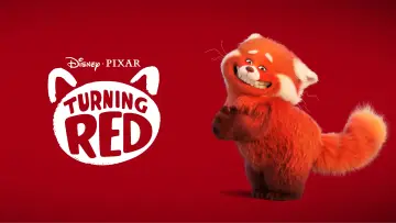 Zasłona do filmu "To nie wypanda" #9948