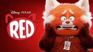 Zasłona do filmu "To nie wypanda" #9953
