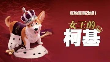 Zasłona do filmu "Corgi, psiak królowej" #1002774