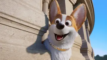 Zasłona do filmu "Corgi, psiak królowej" #309730