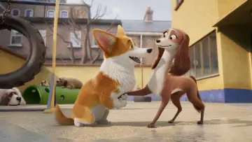 Zasłona do filmu "Corgi, psiak królowej" #309732