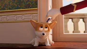 Zasłona do filmu "Corgi, psiak królowej" #309734