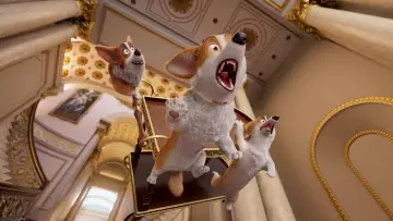 Zasłona do filmu "Corgi, psiak królowej" #309738