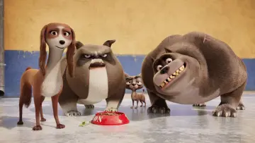 Zasłona do filmu "Corgi, psiak królowej" #309740