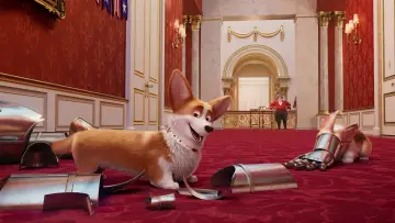 Zasłona do filmu "Corgi, psiak królowej" #309746