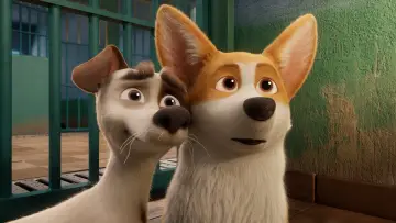 Zasłona do filmu "Corgi, psiak królowej" #309747