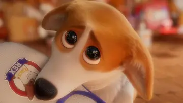 Zasłona do filmu "Corgi, psiak królowej" #309748