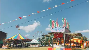 Zasłona do filmu "Przygody młodego wilkołaka" #1866398