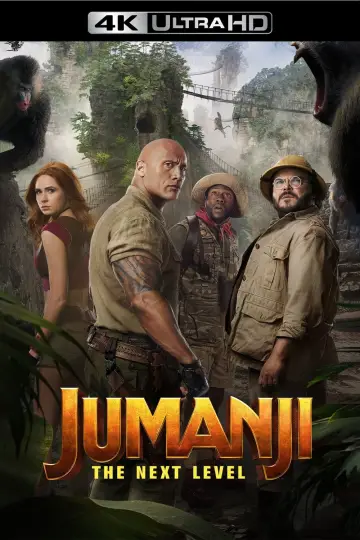 Plakat do filmu "Jumanji: Następny poziom" #35601