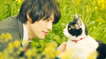 Zasłona do filmu "旅猫リポート" #424871