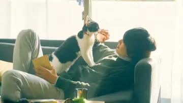 Zasłona do filmu "旅猫リポート" #424872