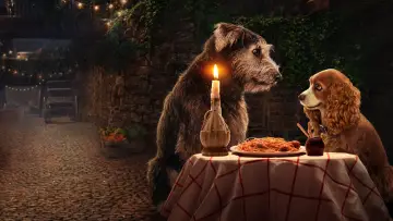 Zasłona do filmu "Zakochany kundel" #231866