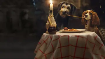 Zasłona do filmu "Zakochany kundel" #231869