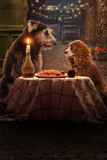 Plakat do filmu "Zakochany kundel" #231878