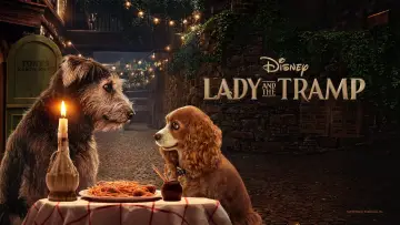 Zasłona do filmu "Zakochany kundel" #75018