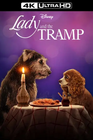 Plakat do filmu "Zakochany kundel" #75029