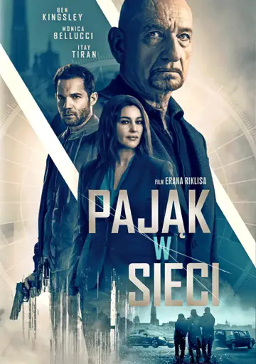 Pająk w sieci