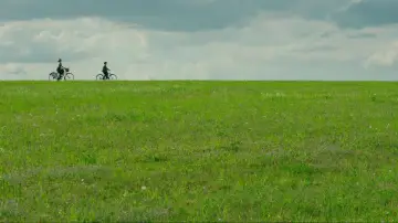 Zasłona do filmu "Jojo Rabbit" #1216243