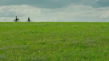 Zasłona do filmu "Jojo Rabbit" #625522