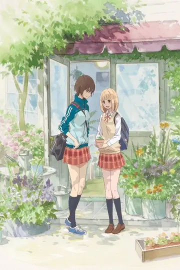 Plakat do filmu "あさがおと加瀬さん。" #404168