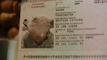 Zasłona do filmu "Paddington w Peru" #567536