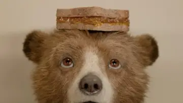 Zasłona do filmu "Paddington w Peru" #567546