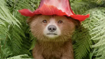Zasłona do filmu "Paddington w Peru" #567547