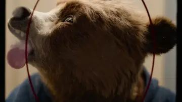 Zasłona do filmu "Paddington w Peru" #567550