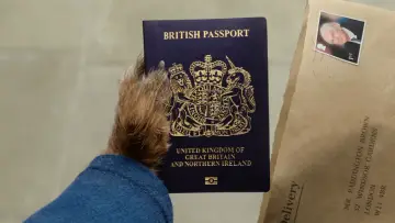 Zasłona do filmu "Paddington w Peru" #567552