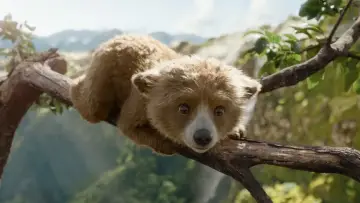 Zasłona do filmu "Paddington w Peru" #567553