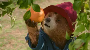 Zasłona do filmu "Paddington w Peru" #567557